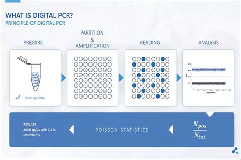 dpcr meaning
